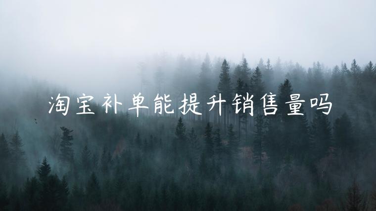 淘寶補(bǔ)單能提升銷售量嗎